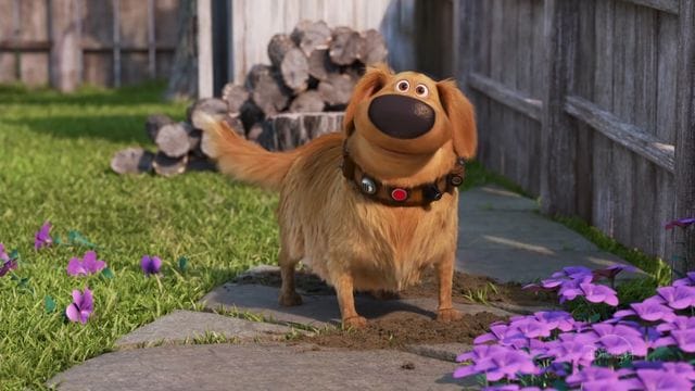 Disney Announces Dug Days: Carl's Date Release Date; Everything About Pixar's New Short Film